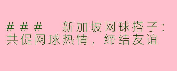 ### 新加坡网球搭子：共促网球热情，缔结友谊