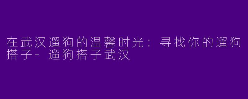 在武汉遛狗的温馨时光：寻找你的遛狗搭子