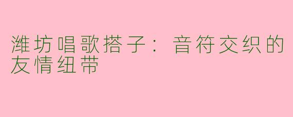 潍坊唱歌搭子：音符交织的友情纽带