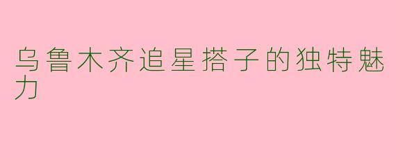 乌鲁木齐追星搭子的独特魅力