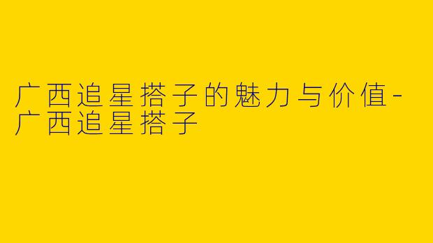 广西追星搭子的魅力与价值-广西追星搭子