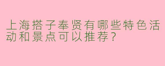 上海搭子奉贤有哪些特色活动和景点可以推荐？