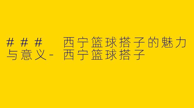 ### 西宁篮球搭子的魅力与意义
