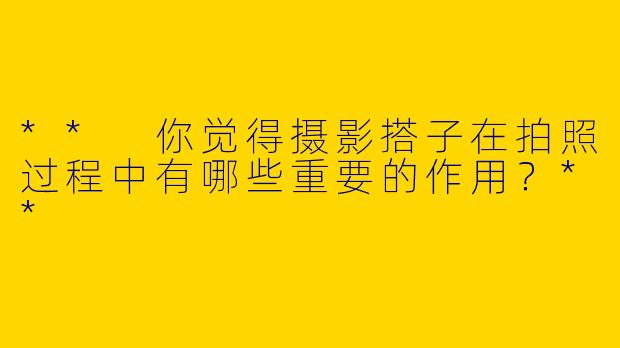 ** 你觉得摄影搭子在拍照过程中有哪些重要的作用？**