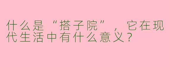什么是“搭子院”，它在现代生活中有什么意义？