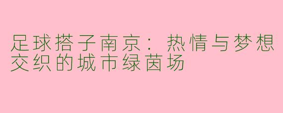 足球搭子南京：热情与梦想交织的城市绿茵场