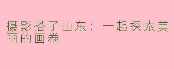 摄影搭子山东：一起探索美丽的画卷