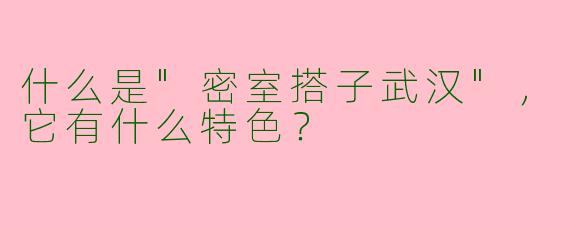 什么是"密室搭子武汉"，它有什么特色？