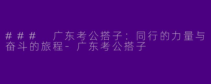 ### 广东考公搭子：同行的力量与奋斗的旅程-广东考公搭子