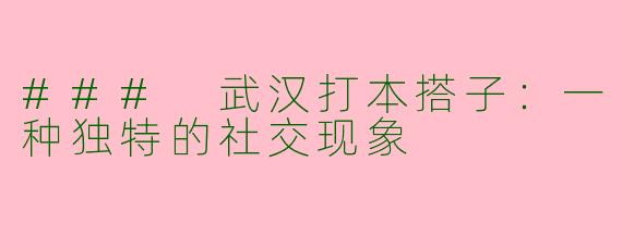 ### 武汉打本搭子:一种独特的社交现象
