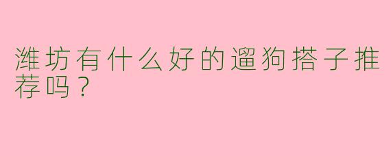 潍坊有什么好的遛狗搭子推荐吗？