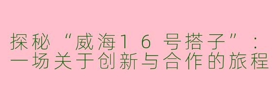 探秘“威海16号搭子”：一场关于创新与合作的旅程