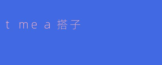 什么是tmea搭子?**