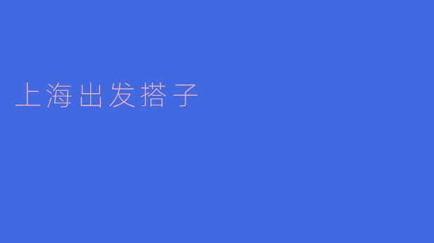上海出发搭子的服务是怎样的，适合哪些人群？