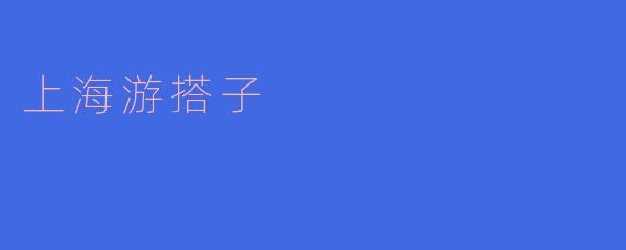 上海游搭子