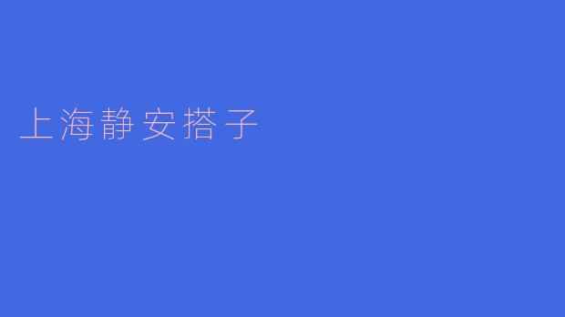 上海静安搭子