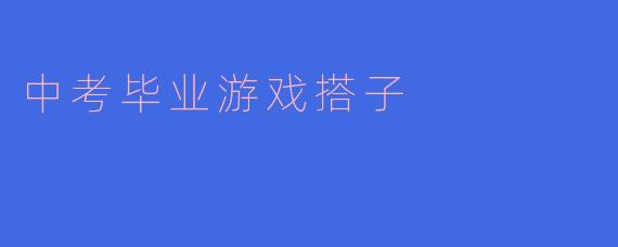 中考毕业游戏搭子