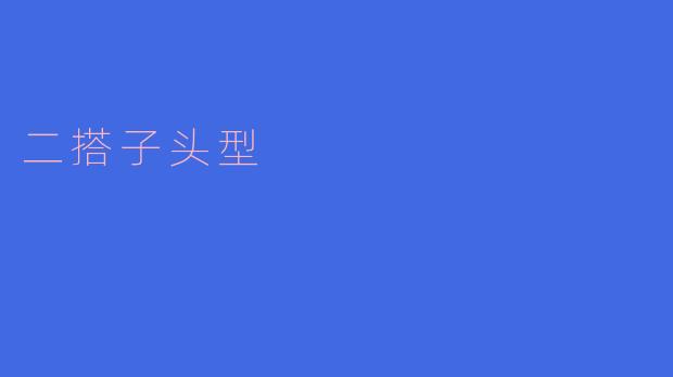 二搭子头型