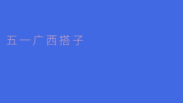 五一广西搭子