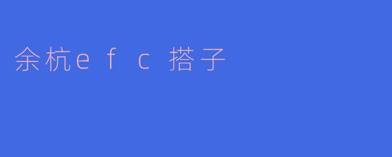 余杭efc搭子是什么？
