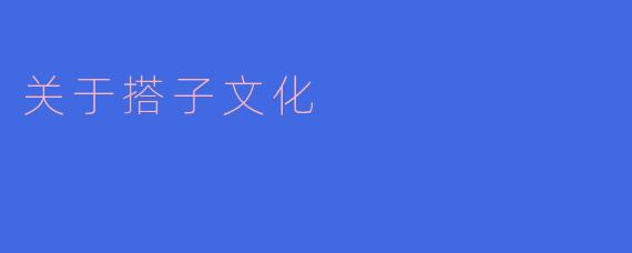 关于搭子文化