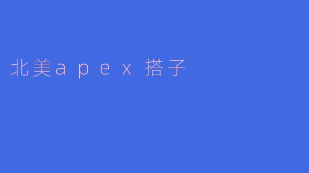 北美apex搭子