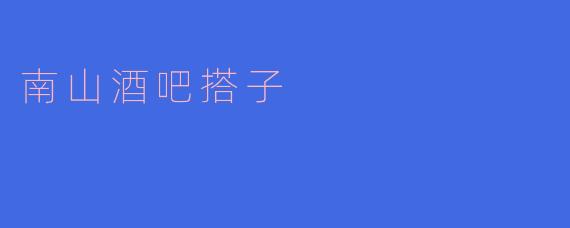 南山酒吧搭子：一次美妙的夜晚相遇