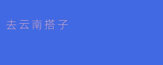 去云南搭子