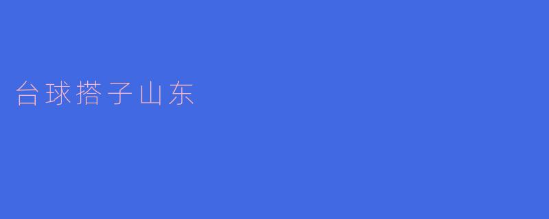 台球搭子山东