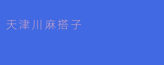### 探索天津川麻搭子的独特魅力