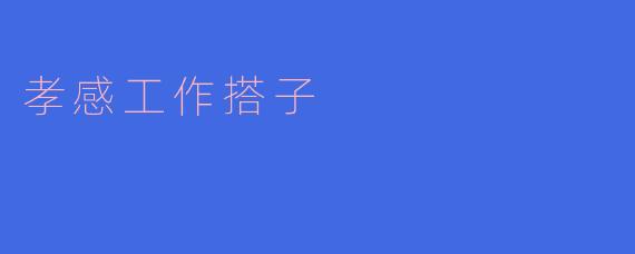 孝感工作搭子是指什么？****