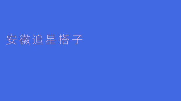 安徽追星搭子
