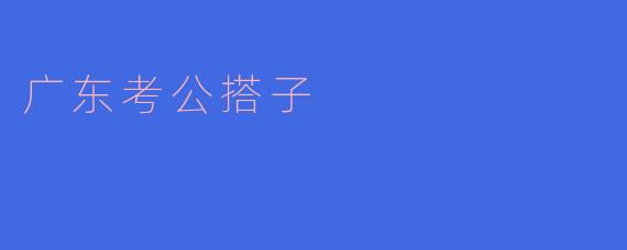 广东考公搭子