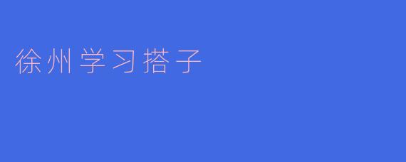 徐州学习搭子:助力成长与进步的伙伴
