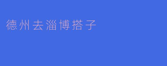 德州去淄博搭子