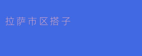 ### 拉萨市区搭子:探索高原之城的独特魅力