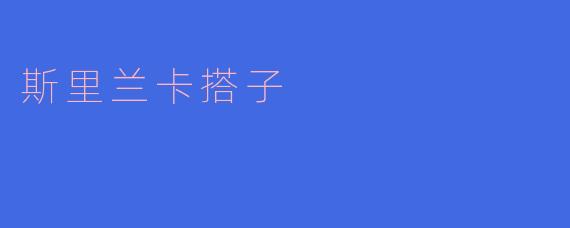 斯里兰卡搭子