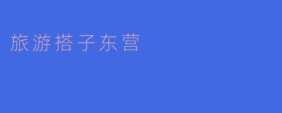 旅游搭子东营