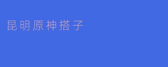 昆明原神搭子