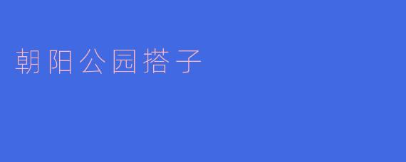 朝阳公园搭子