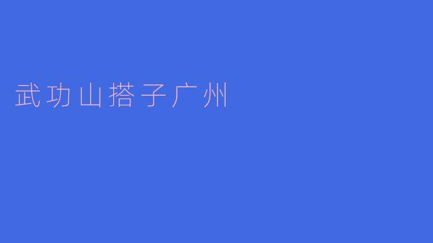 武功山搭子广州
