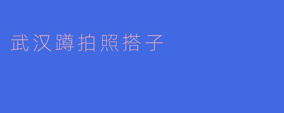 武汉蹲拍照搭子是什么？  