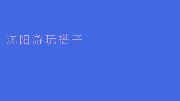 请问沈阳有哪些推荐的游玩搭子活动？