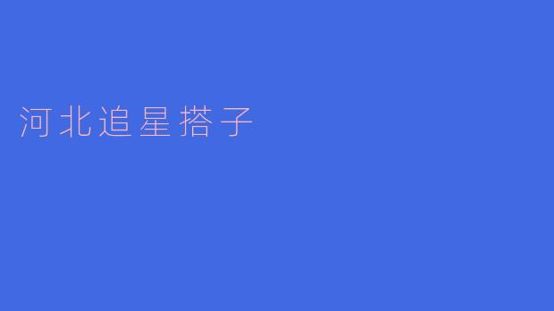 河北的追星搭子:热情追逐梦想的青春伙伴