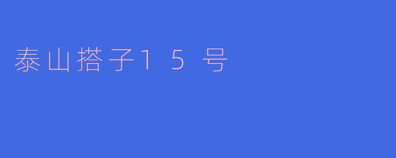 ### 泰山搭子15号:探索创新与传承的桥梁