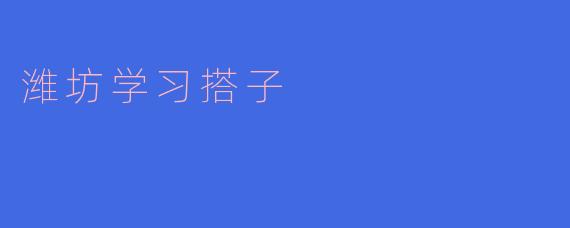 潍坊学习搭子