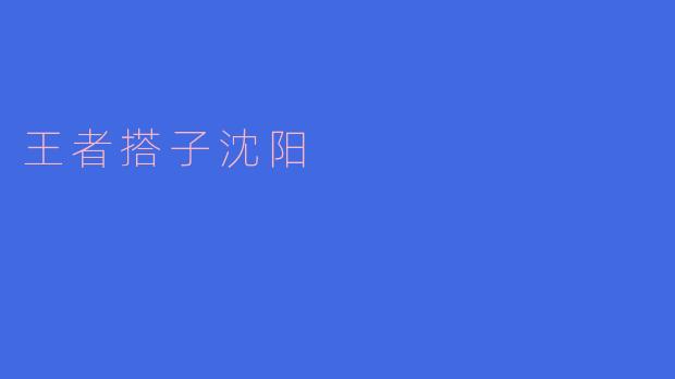 ### 探秘“王者搭子沈阳”：游戏与友谊的完美结合