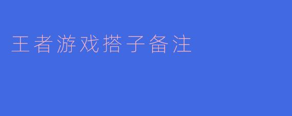 ### 王者游戏搭子备注的重要性