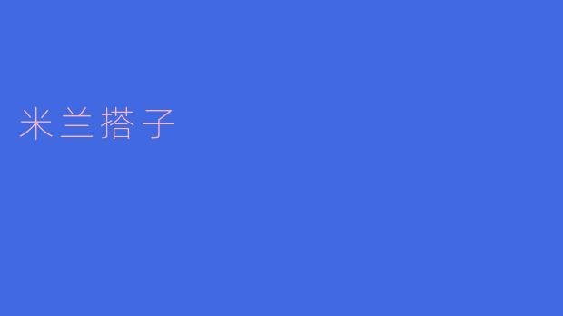 什么是“米兰搭子”,它有什么特别之处?
