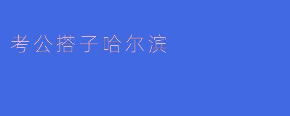 考公搭子哈尔滨：寒冷城市里的热情追梦